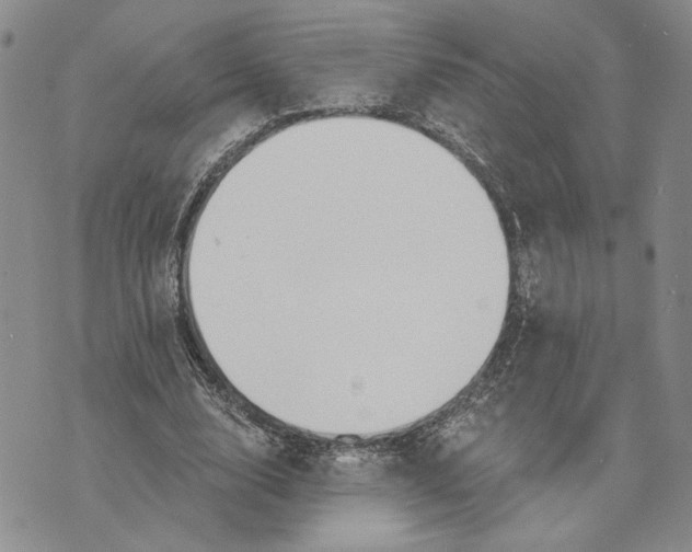 X0000073710632200608311755