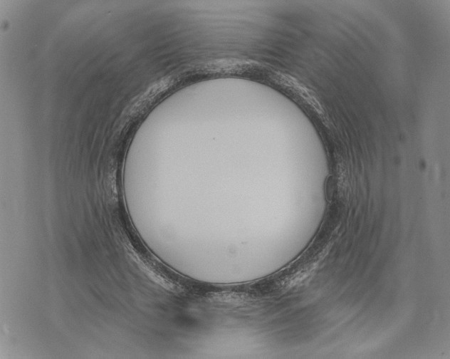 X0000073710633200608311755