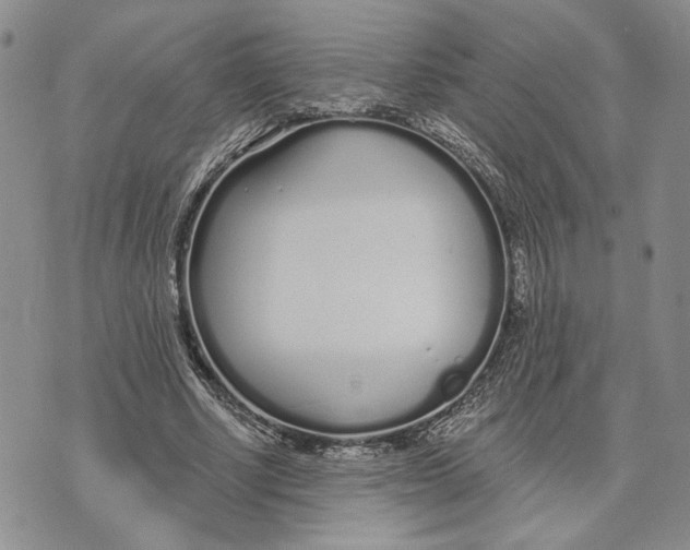 X0000073710634200608311755