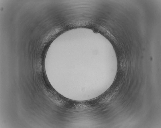 X0000073710635200608311755