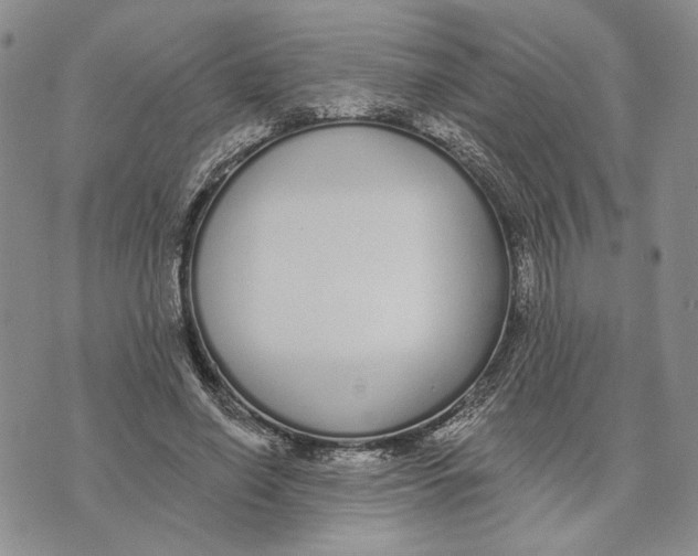 X0000073710638200608311755