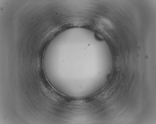 X0000073710639200608311755