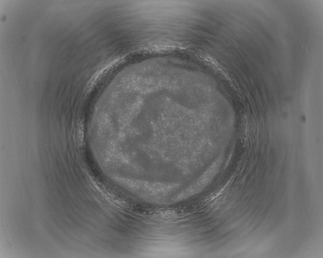 X0000073710640200608311755