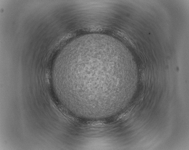 X0000073710643200608311755