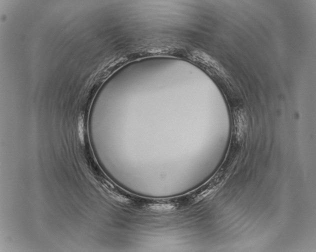 X0000073710644200608311755