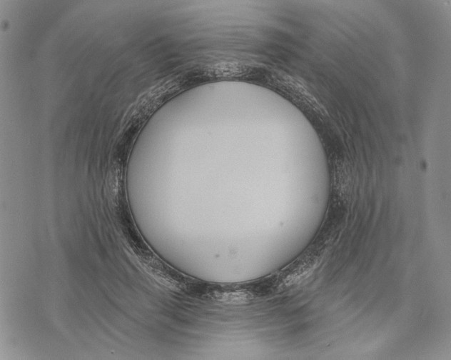 X0000073710645200608311755