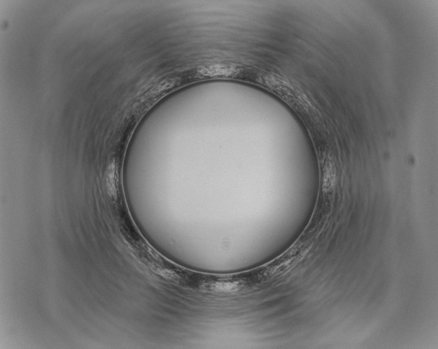 X0000073710647200608311755