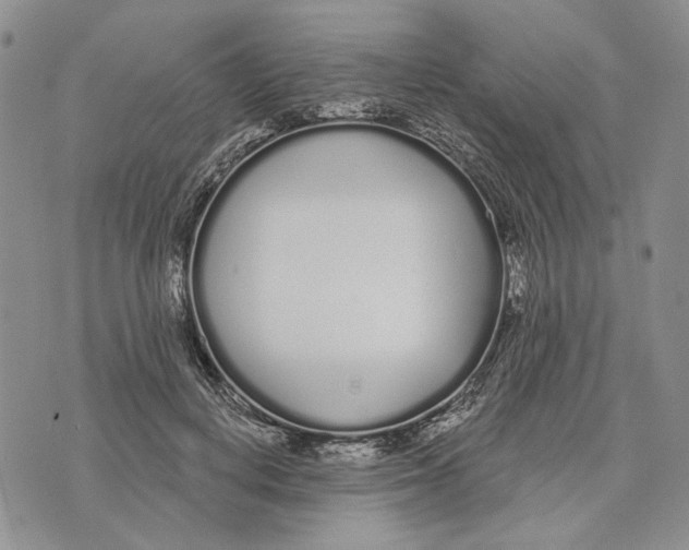 X0000073710648200608311756