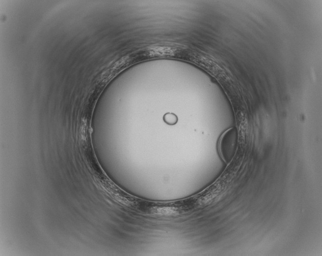 X0000073710649200608311756