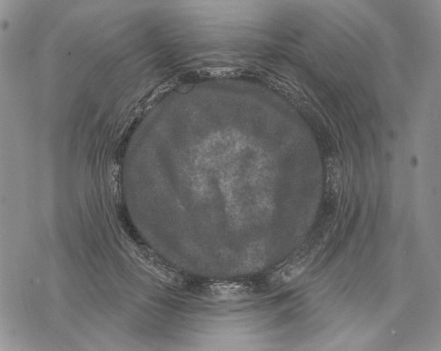 X0000073710650200608311756