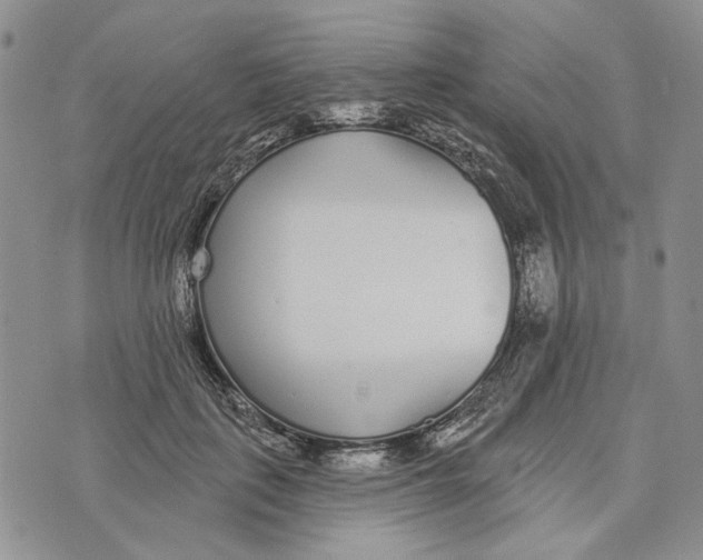 X0000073710651200608311756