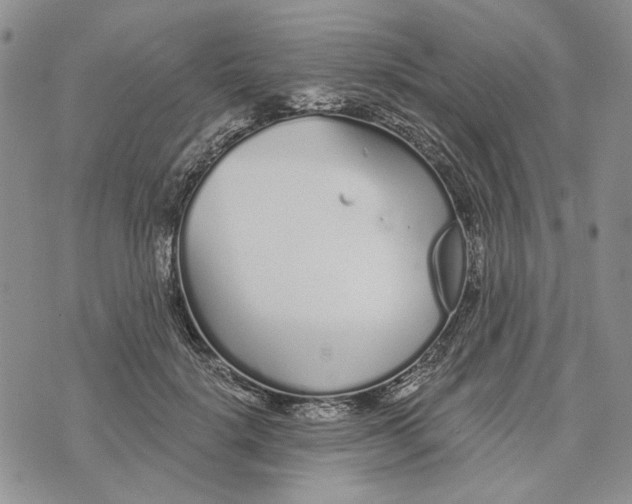 X0000073710652200608311756