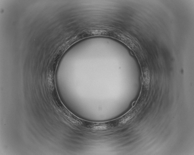 X0000073710653200608311756