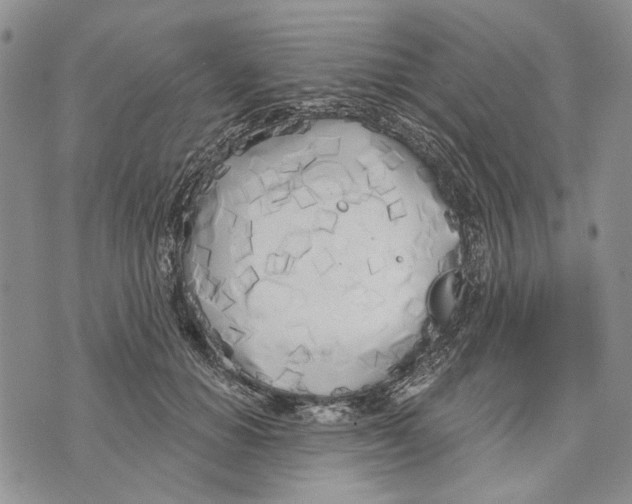 X0000073710654200608311756