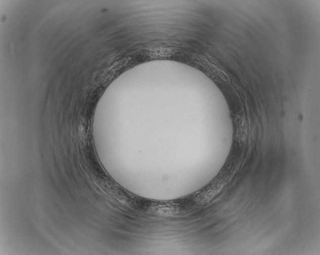 X0000073710655200608311756