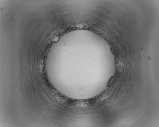 X0000073710656200608311756