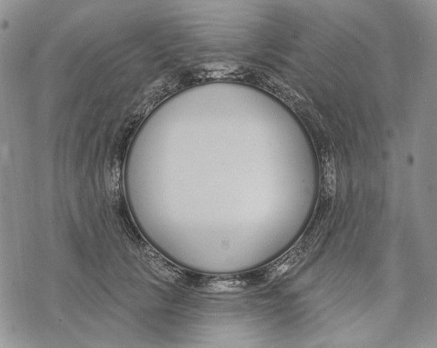 X0000073710657200608311756