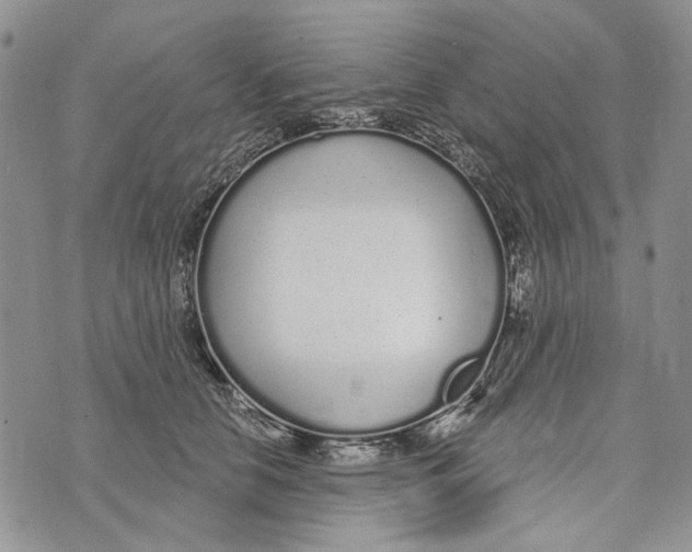 X0000073710658200608311756