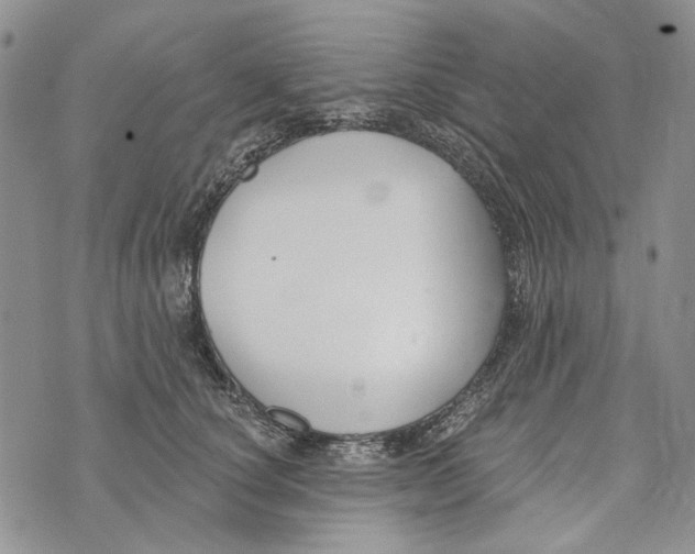 X0000073710660200608311756