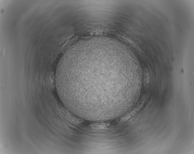 X0000073710661200608311756