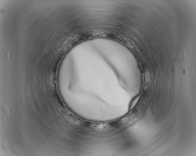 X0000073710663200608311756