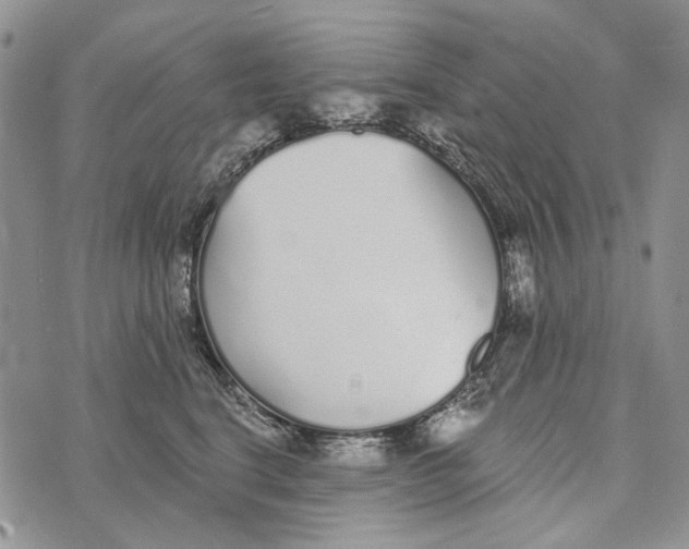 X0000073710664200608311756