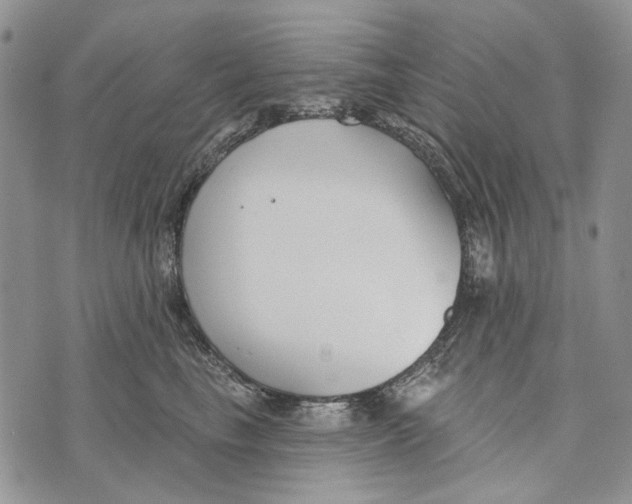 X0000073710665200608311756