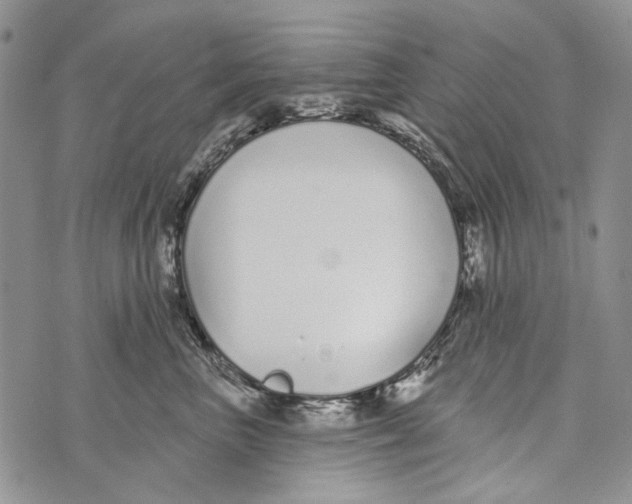 X0000073710667200608311756