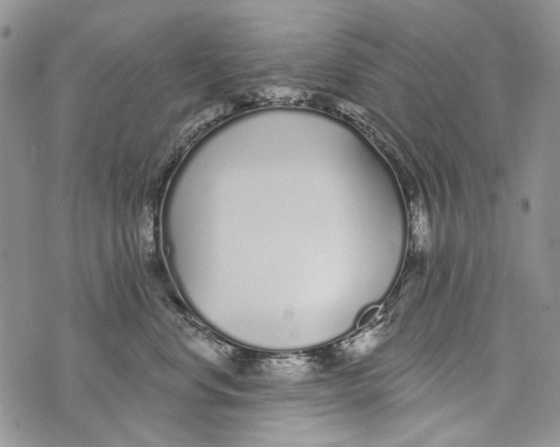 X0000073710668200608311756