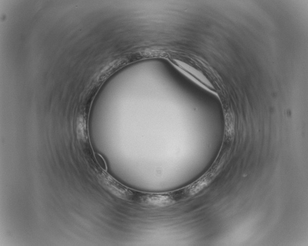 X0000073710669200608311756