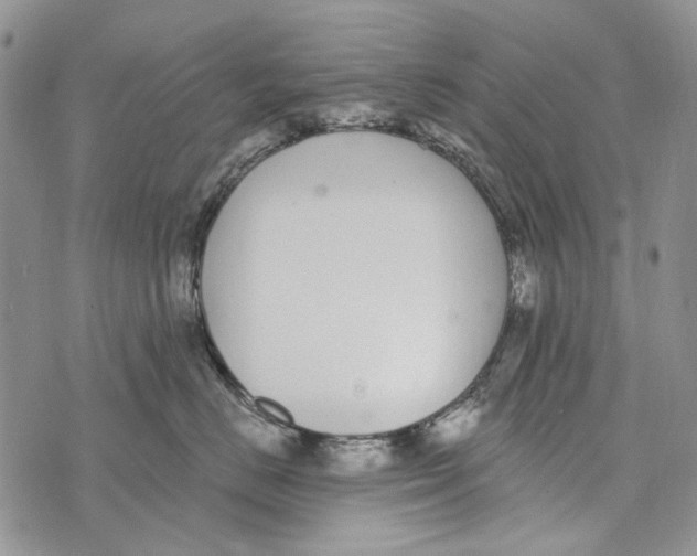 X0000073710670200608311756