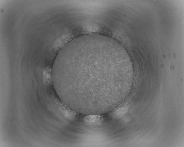 X0000073710672200608311756