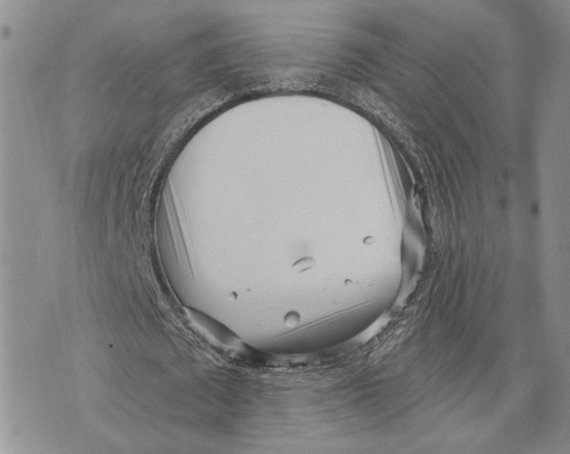 X0000073710673200608311755