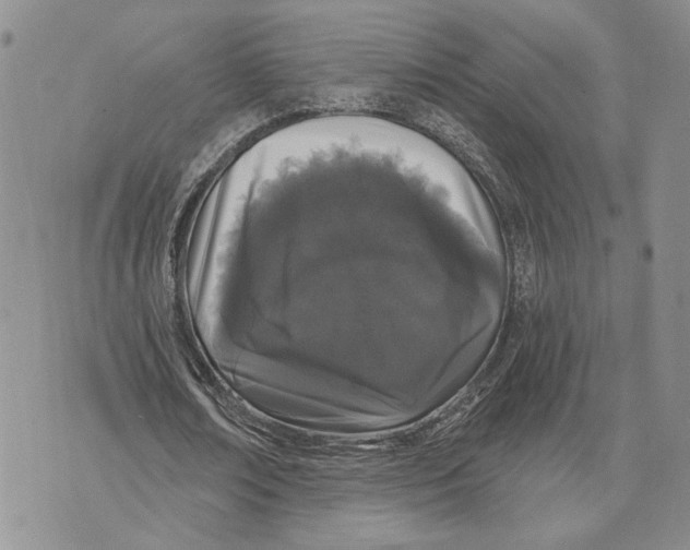 X0000073710674200608311755