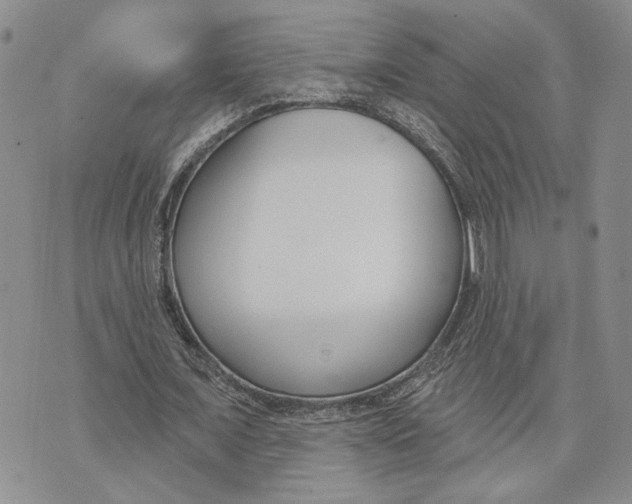 X0000073710675200608311755