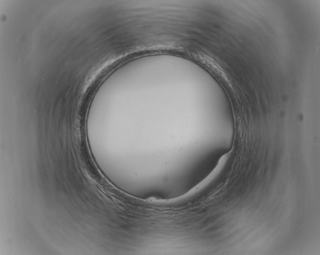 X0000073710676200608311755