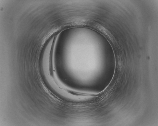 X0000073710677200608311755