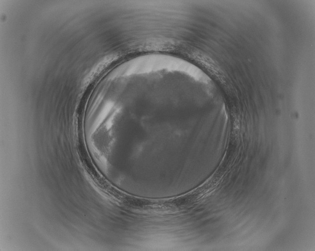 X0000073710678200608311755