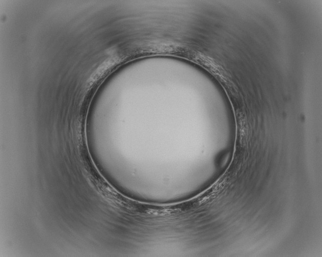 X0000073710679200608311755