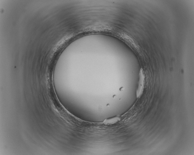 X0000073710680200608311755