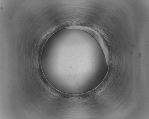 X0000073710681200608311755