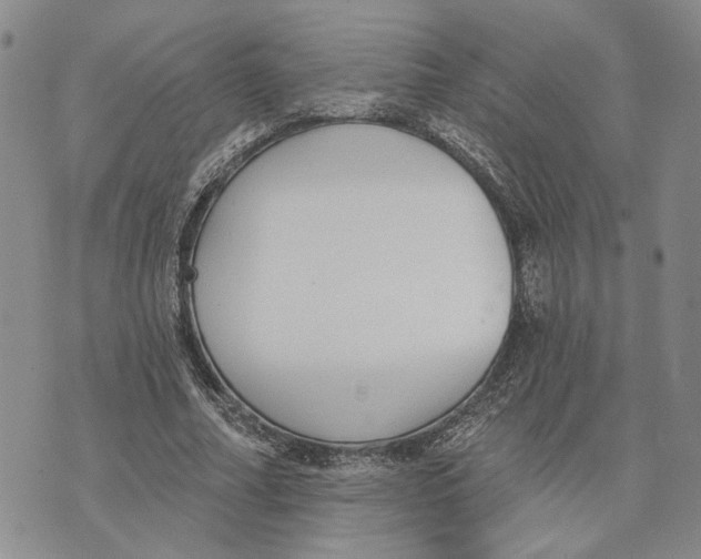 X0000073710682200608311755