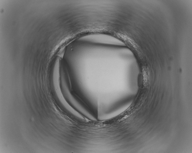 X0000073710684200608311755