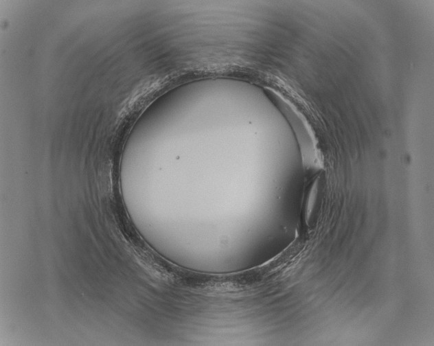 X0000073710685200608311755