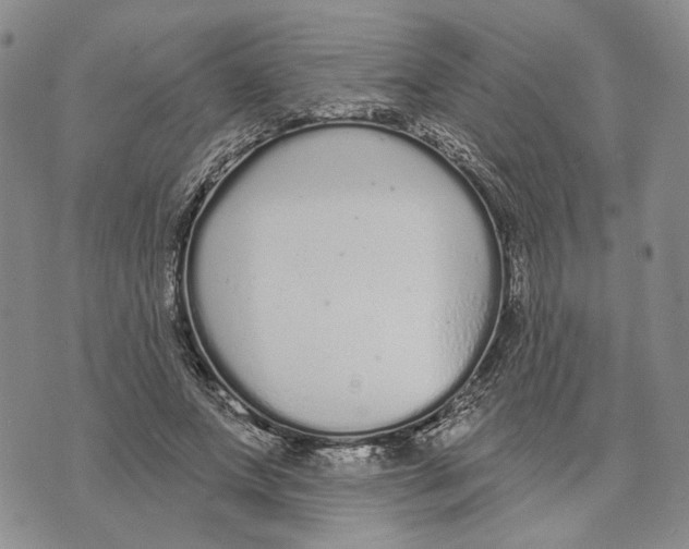 X0000073710687200608311755