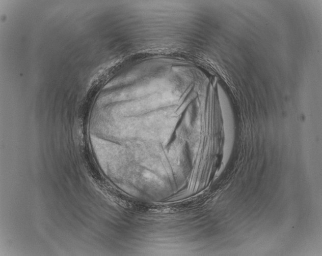 X0000073710688200608311755