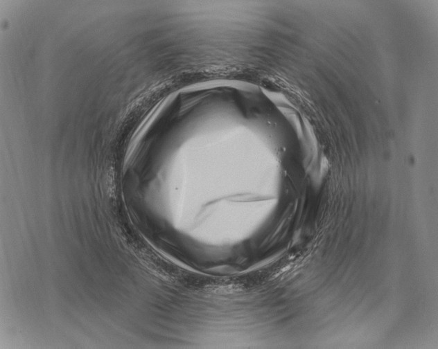 X0000073710689200608311755