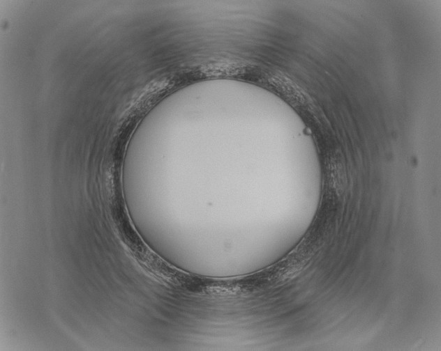 X0000073710690200608311755