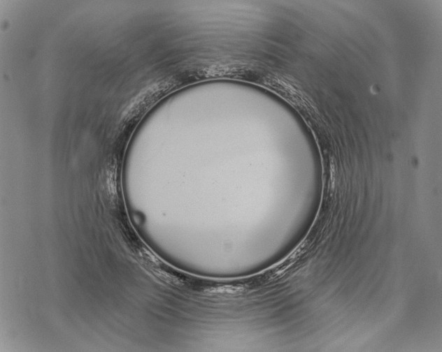 X0000073710691200608311755