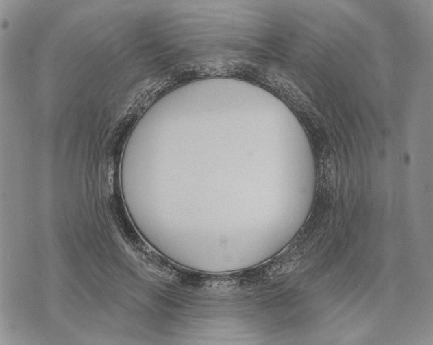 X0000073710694200608311755